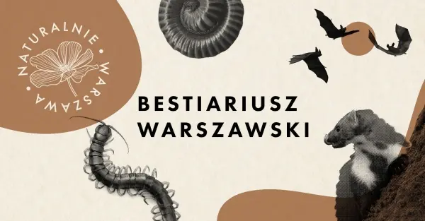 IV Biodróż nocna z Michałem Książkiem