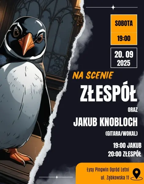Złespół oraz Jakub Knobloch w Łysym Pingwinie