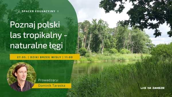 Poznaj polski las tropikalny - naturalne łęgi