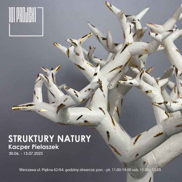 "Struktury natury" - wystawa rzeźb Kacpra Pielaszka