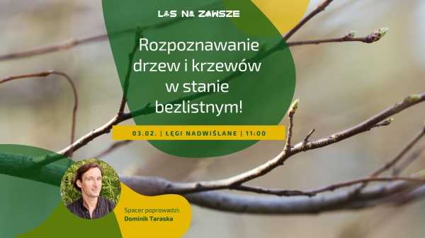 Rozpoznawanie drzew i krzewów w stanie bezlistnym - spacer edukacyjny