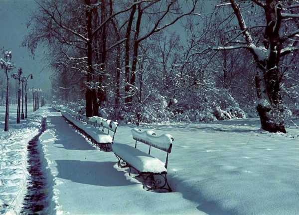 Park Skaryszewski bez tajemnic 