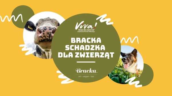 Bracka schadzka dla zwierząt 
