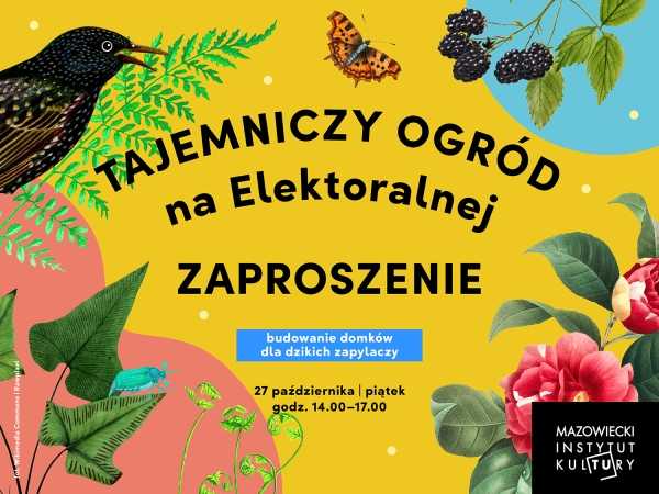 Budowanie domków dla dzikich zapylaczy | Tajemniczy Ogród na Elektoralnej