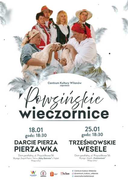 Wieczornica powsińska - Darcie pierza