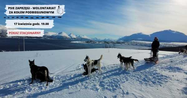 Psie zaprzęgi - wolontariat za kołem podbiegunowym (Norwegia)