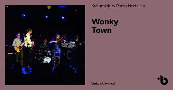 Koncert zespołu Wonky Town