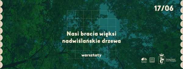 Warsztaty #DzielnicaWisła | Nasi bracia więksi - nadwiślańskie drzewa