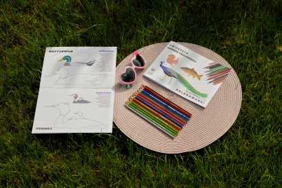 Rysowanie na polanie | Warsztaty przyrodniczo - plastyczne dla dzieci w wieku 5-8 lat i opiekunów