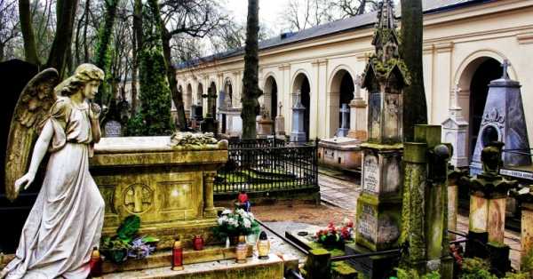 Stare Powązki - Gdy gaśnie pamięć ludzka, dalej mówią kamienie...