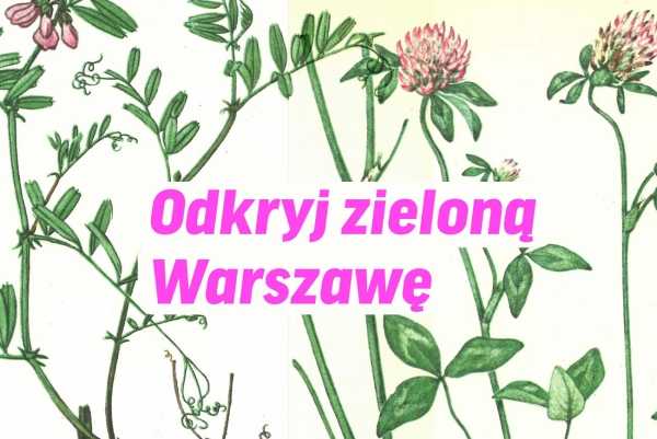 Odkryj zieloną Warszawę