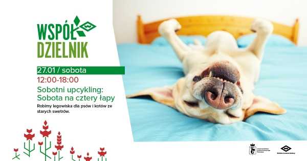 Sobotni upcykling: Sobota na cztery łapy 