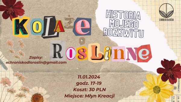 KOLAŻE ROŚLINNE - historia mojego rozkwitu