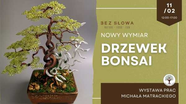 Nowy wymiar drzewek BONSAI | Wystawa 