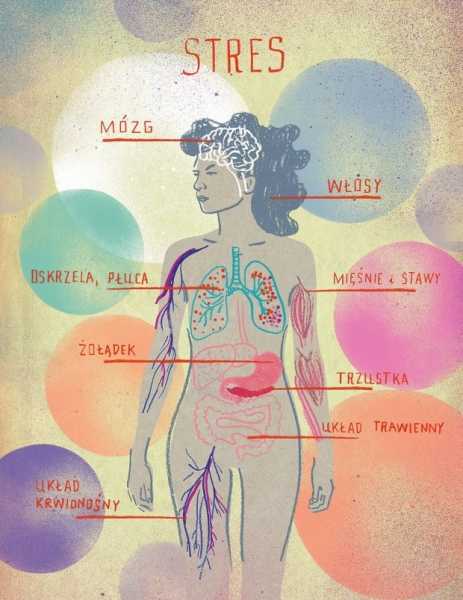 Darmowe spotkanie z medytacją Mindfulness - Redukcja Stresu Oparta na Uważności