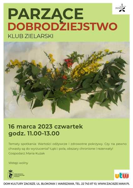 Spotkanie Klubu Zielarskiego: Parzące dobrodziejstwo